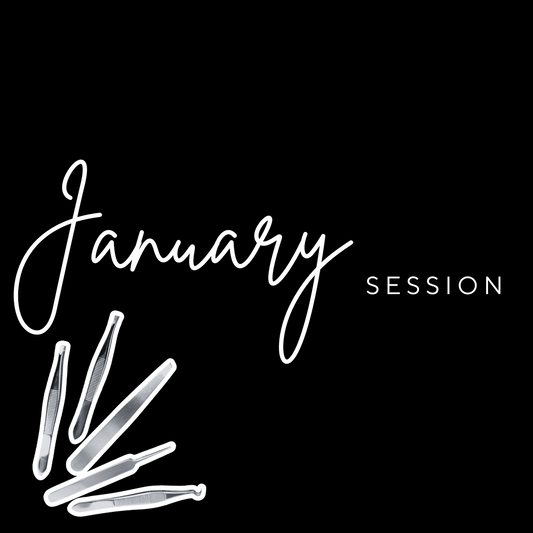 January Licensed Lash Technician Course